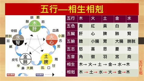 木剋土性格|五行木與土相剋解救方法